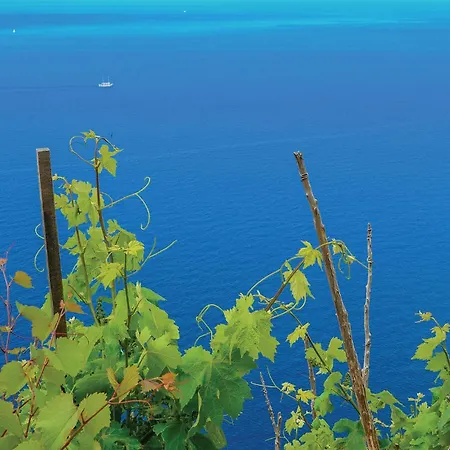 Two-bedroom In Mokalo Jurjević