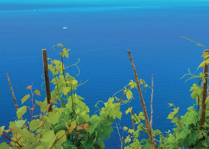 Two-bedroom In Mokalo Jurjević